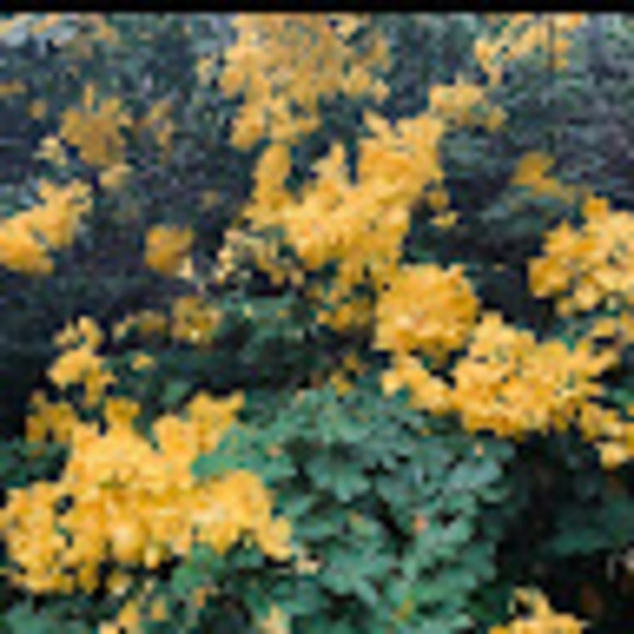 Meet your Posher, Erika - Picture 1 of 1